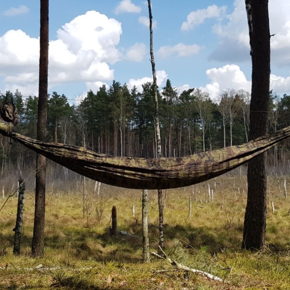 Full view of hammock setup in the forest.