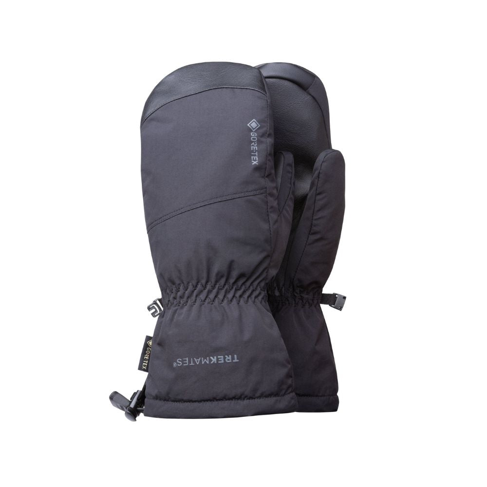 Chamonix GTX Mitt with front view.