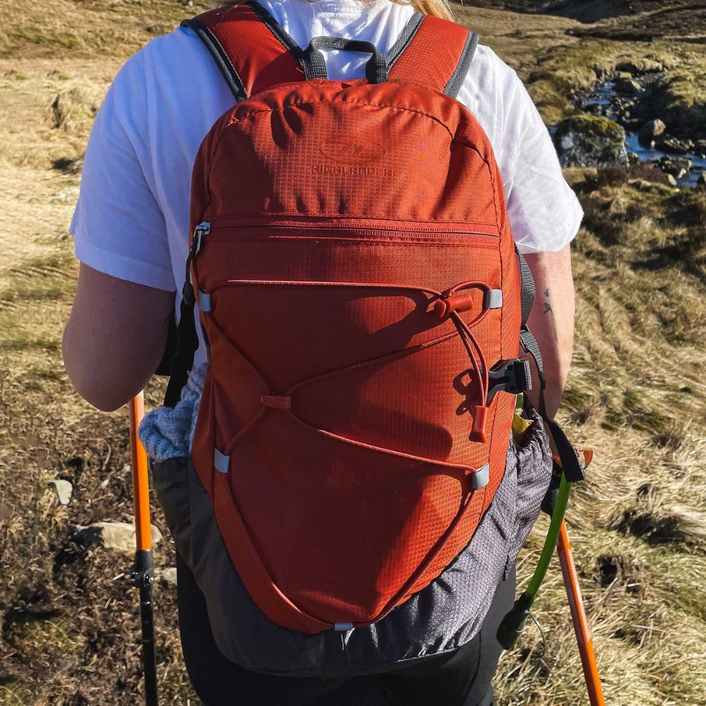 Back view of Venture Backpack 20L in rust/grey.